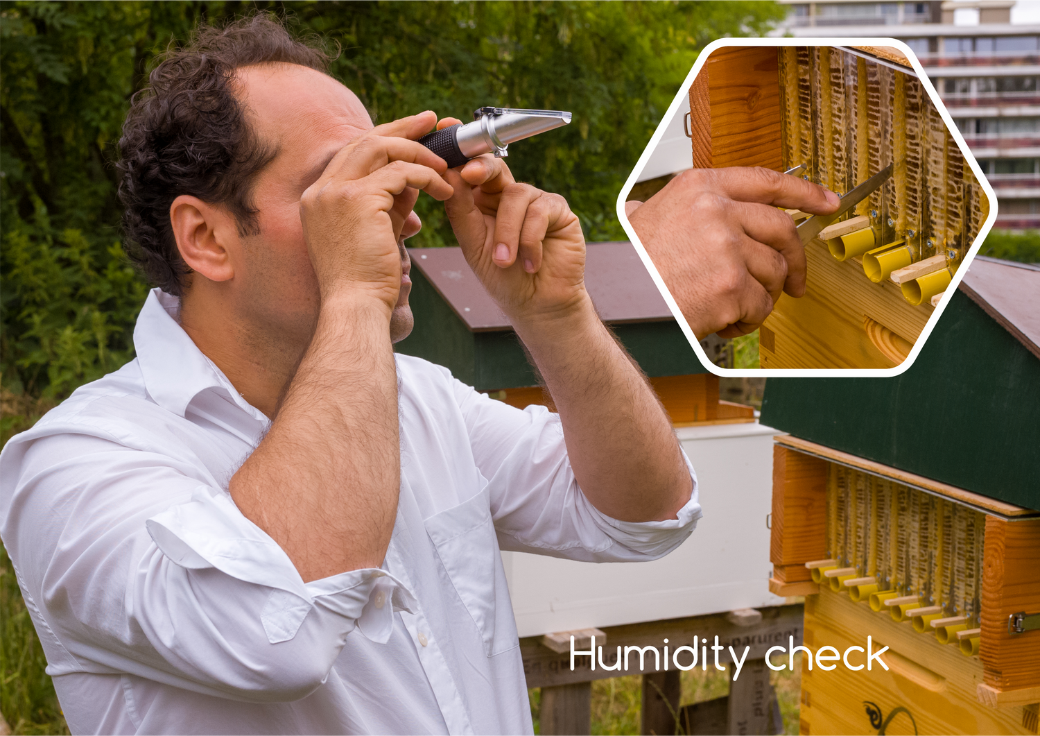 Ebenbee Humidity check