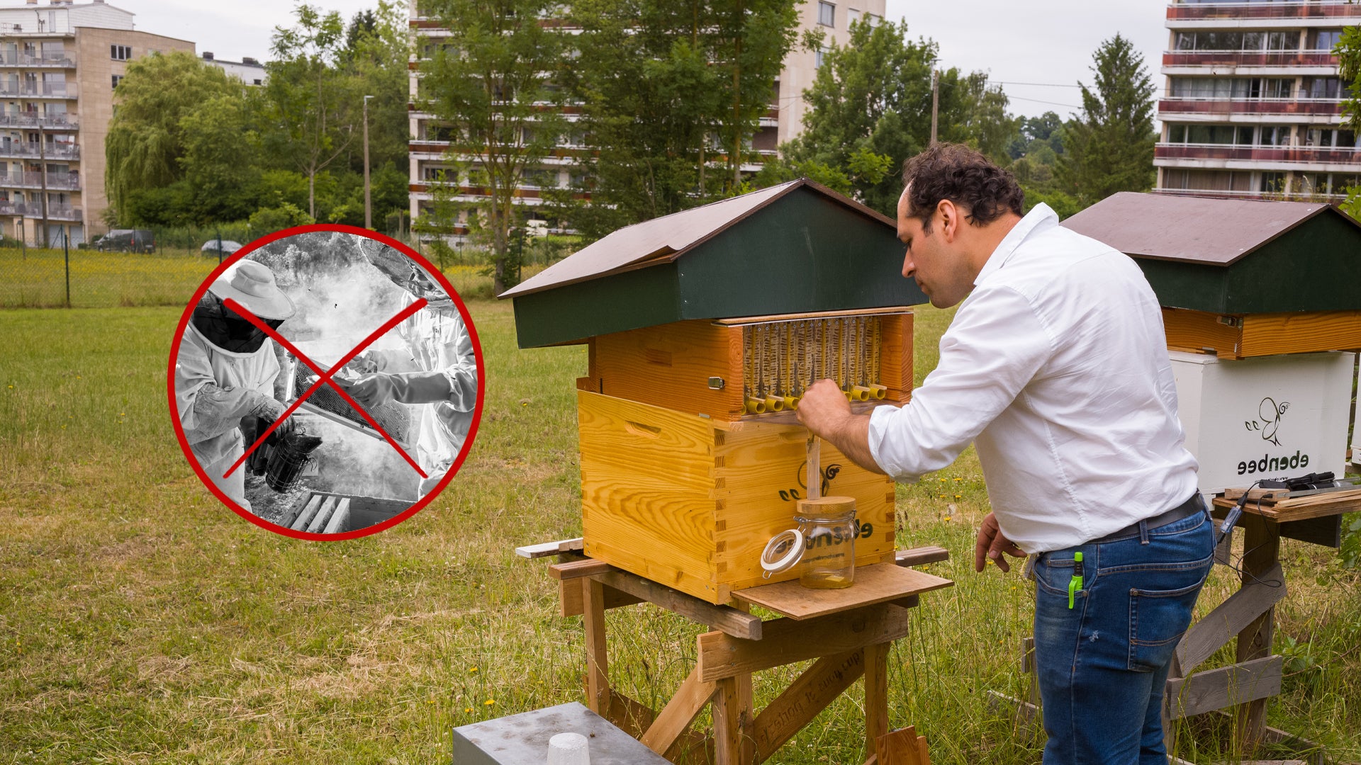 Ebenbee Hive