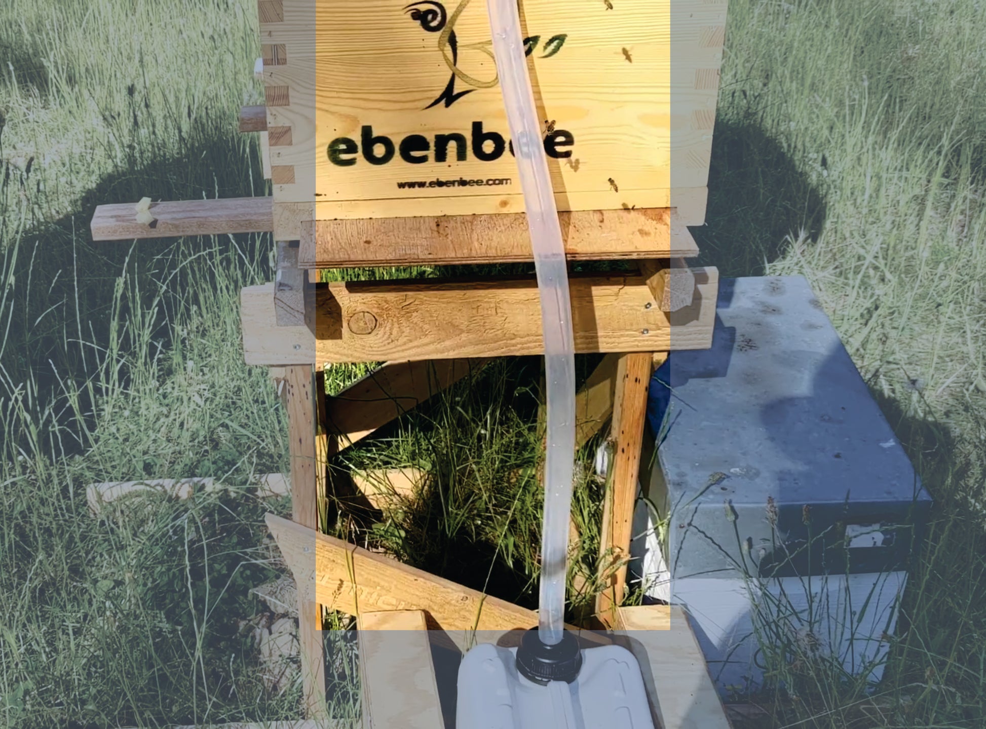 Tuyau en silicone pour récolte de miel Ebenbee